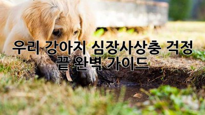 우리 강아지, 심장사상충 걱정 끝! 완벽 가이드